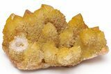 Sunshine Cactus Quartz Crystal Cluster - South Africa #217971-1